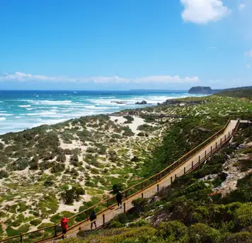 Image related to Seal Bay Conservation Park