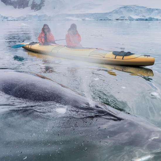 Kayaks