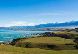 IgluCruise.Application.ViewModels.Shared.WebImageViewModel?.Description