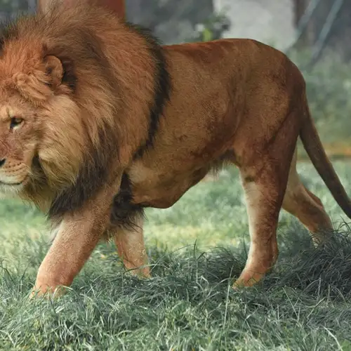 Image related to Image related to Hirakawa Zoo 