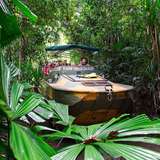 Image related to Army Duck Rainforest Tour (Rainforestation Nature Park)