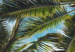 IgluCruise.Application.ViewModels.Shared.WebImageViewModel?.Description