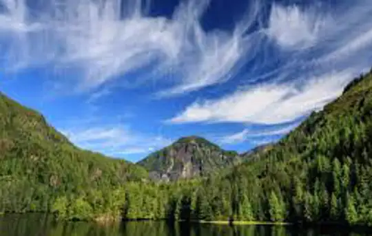 Image related to Rudyerd Bay (Misty Fjords)