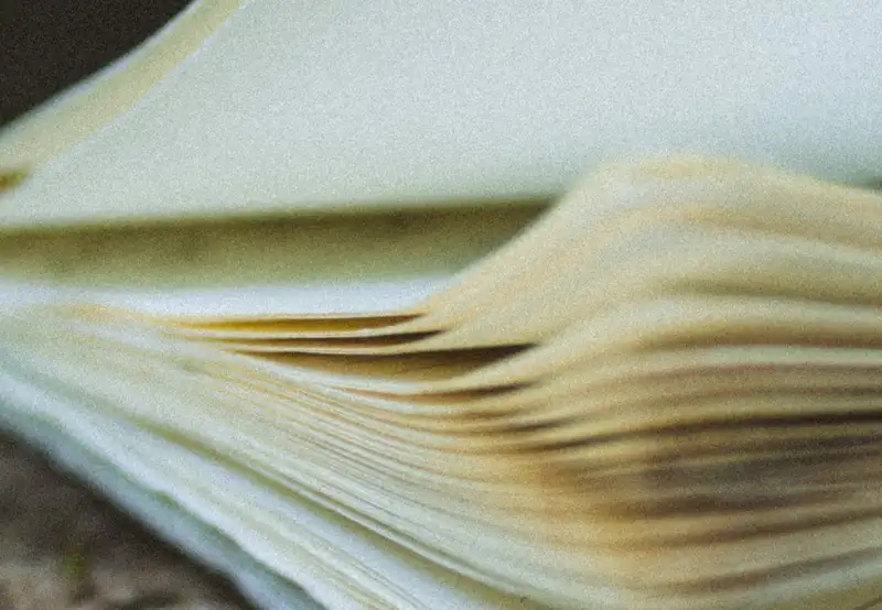 Image related to Miguel de Unamuno House Museum 