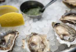 IgluCruise.Application.ViewModels.Shared.WebImageViewModel?.Description