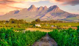 Image related to Cape Winelands Tour
