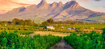Image related to Cape Winelands Tour