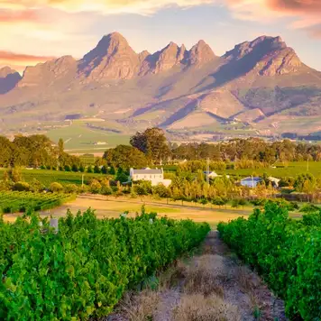 Image related to Cape Winelands Tour