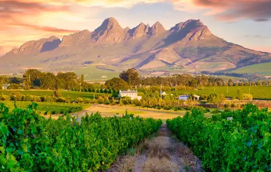 Image related to Cape Winelands Tour