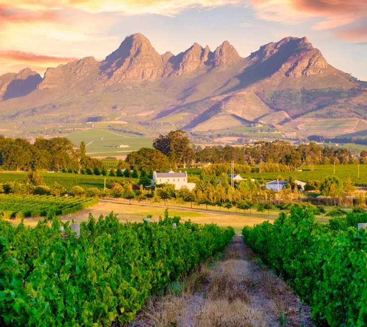 Cape Winelands Tour