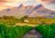 Cape Winelands Tour