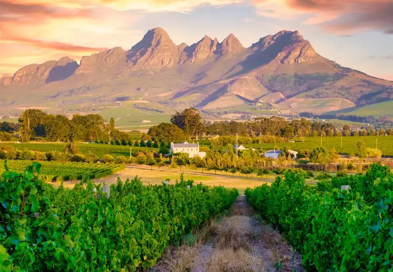 Cape Winelands Tour