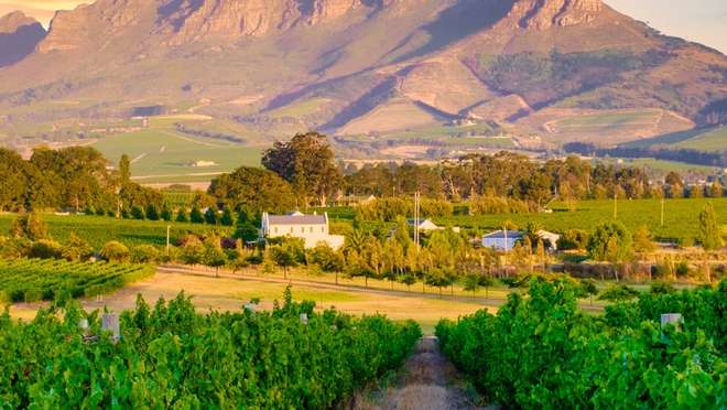 Cape Winelands Tour