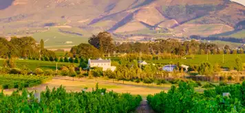 Image related to Cape Winelands Tour