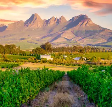 Image related to Cape Winelands Tour