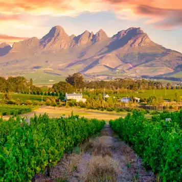 Image related to Cape Winelands Tour