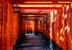 Kyoto - Fushimi Inari Photo Stop