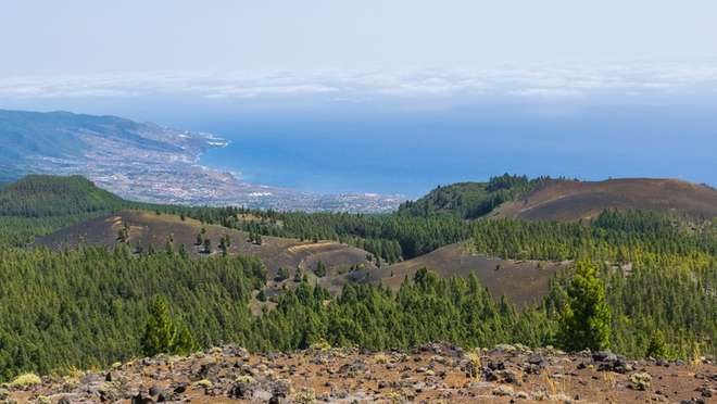La Palma