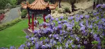 Image related to Emu Valley Rhododendron Garden