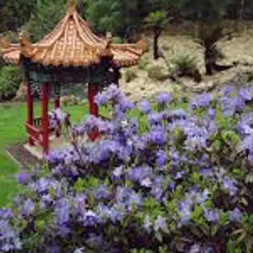 Image related to Emu Valley Rhododendron Garden