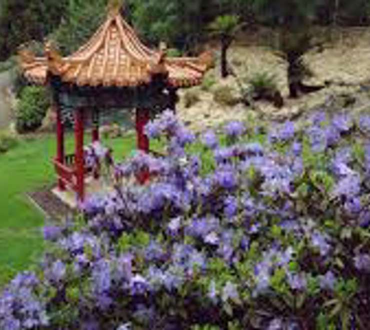 Emu Valley Rhododendron Garden
