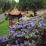 Image related to Emu Valley Rhododendron Garden