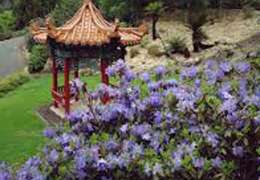 IgluCruise.Application.ViewModels.Shared.WebImageViewModel?.Description