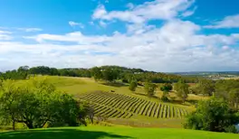 Image related to Hunter Valley Region