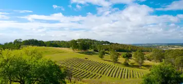 Hunter Valley Region