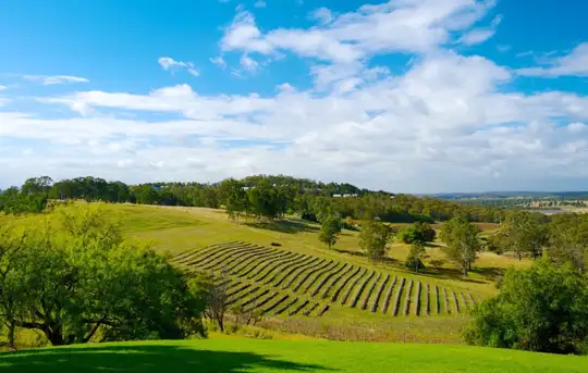Image related to Hunter Valley Region