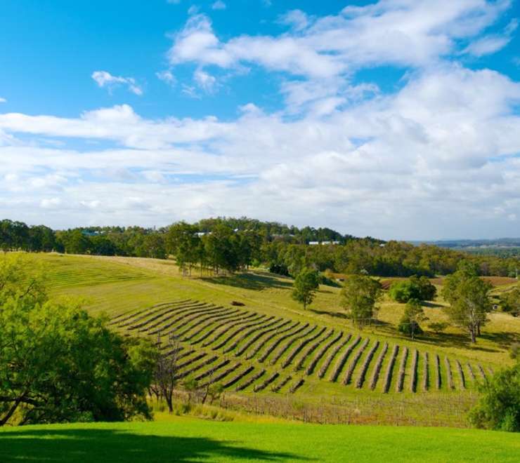 Hunter Valley Region