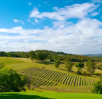 Hunter Valley Region