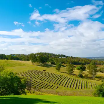 Image related to Hunter Valley Region