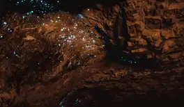 Image related to Waitomo Glowworm Caves Tour