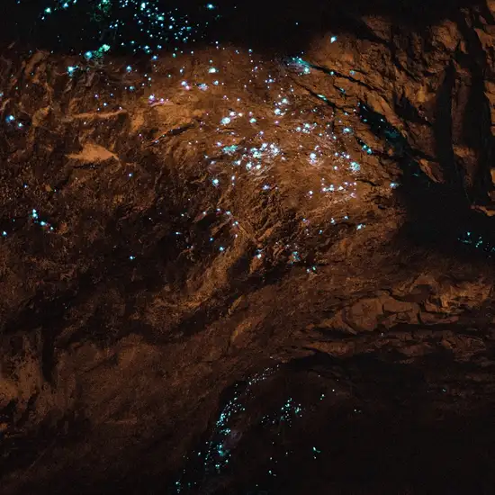 Waitomo Glowworm Caves Tour