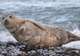Chilkat State Park