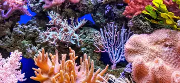 Image related to Marine Park