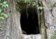 Explore the Japanese Tunnels