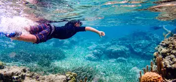 Image related to Snorkelling