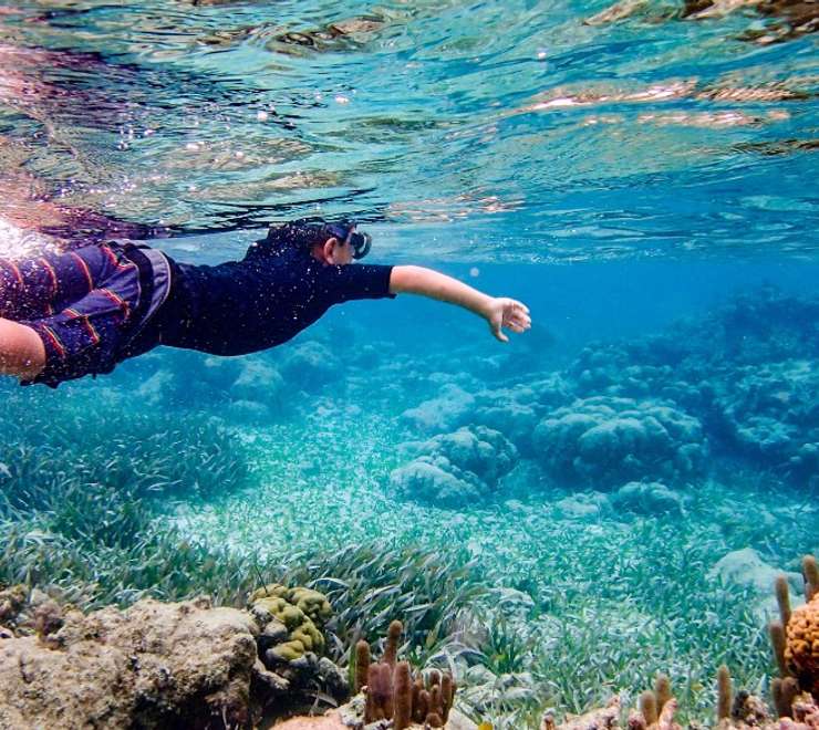 Snorkelling