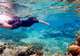 Snorkelling
