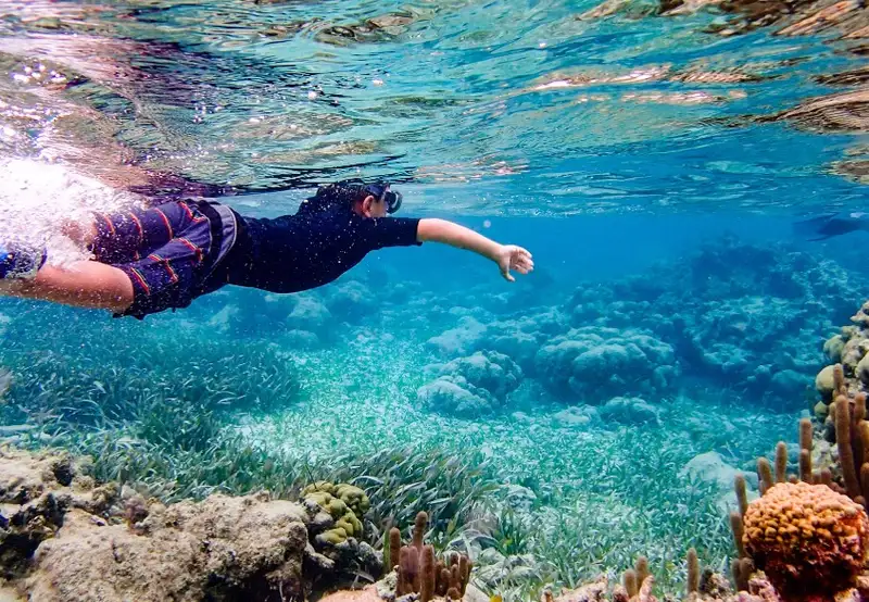Snorkelling