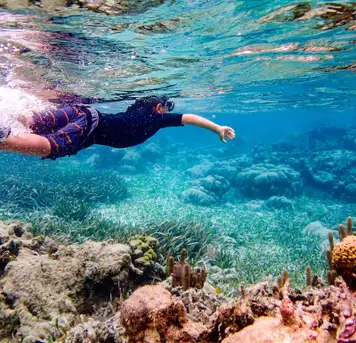 Image related to Snorkelling