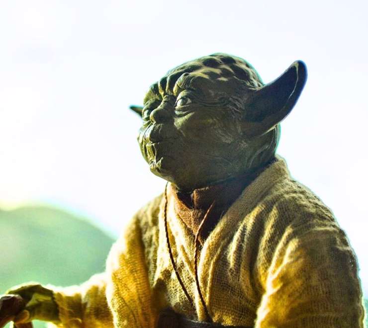 Yoda Guy Movie Exhibit 