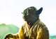 Yoda Guy Movie Exhibit 