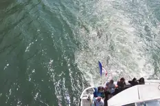 Image related to 5* Dutch & Belgium Waterways River Cruise