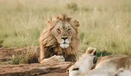 Image related to Emperor Valley Zoo
