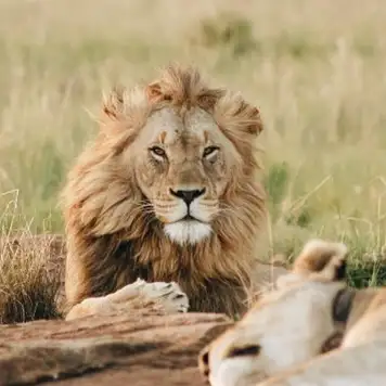 Image related to Emperor Valley Zoo