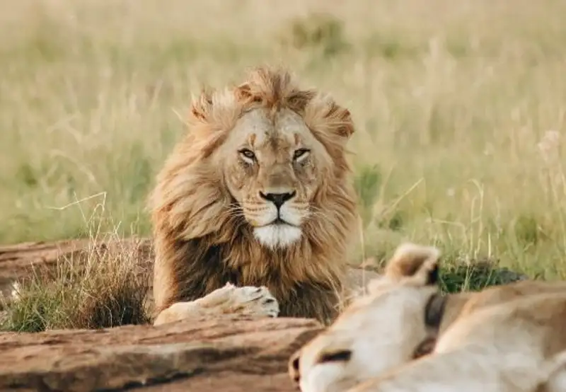 Image related to Emperor Valley Zoo