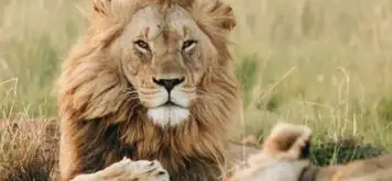 Image related to Emperor Valley Zoo